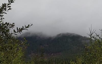 what you SEE is what you get