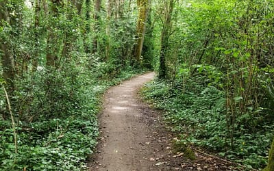 how SLOW can you go?