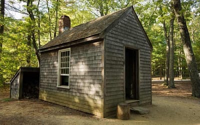 the NUMBERS don’t lie